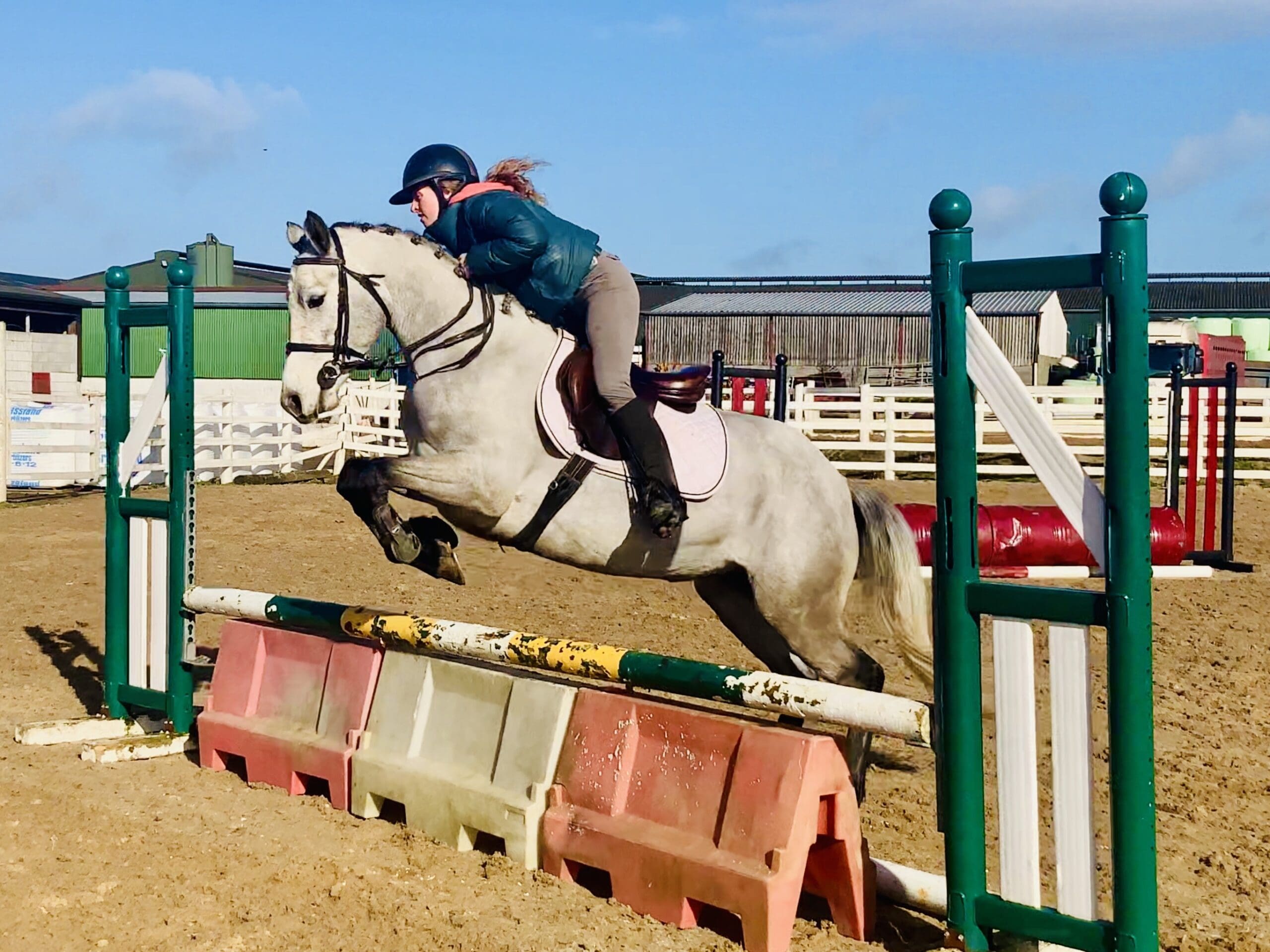 Minnie - super easy and quiet mare with exceptional temperament!