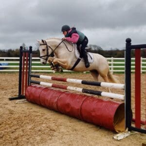 Butter - trusty, flashy working hunter, elite allrounder