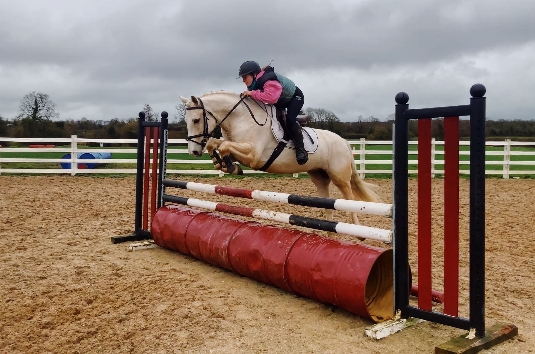 Butter - trusty, flashy working hunter, elite allrounder