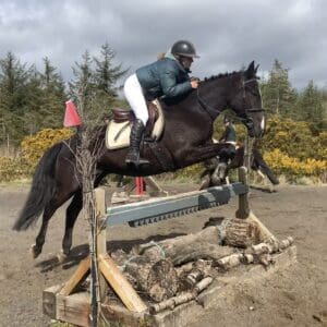 Cosmo - striking and steady allrounder, safe for anyone