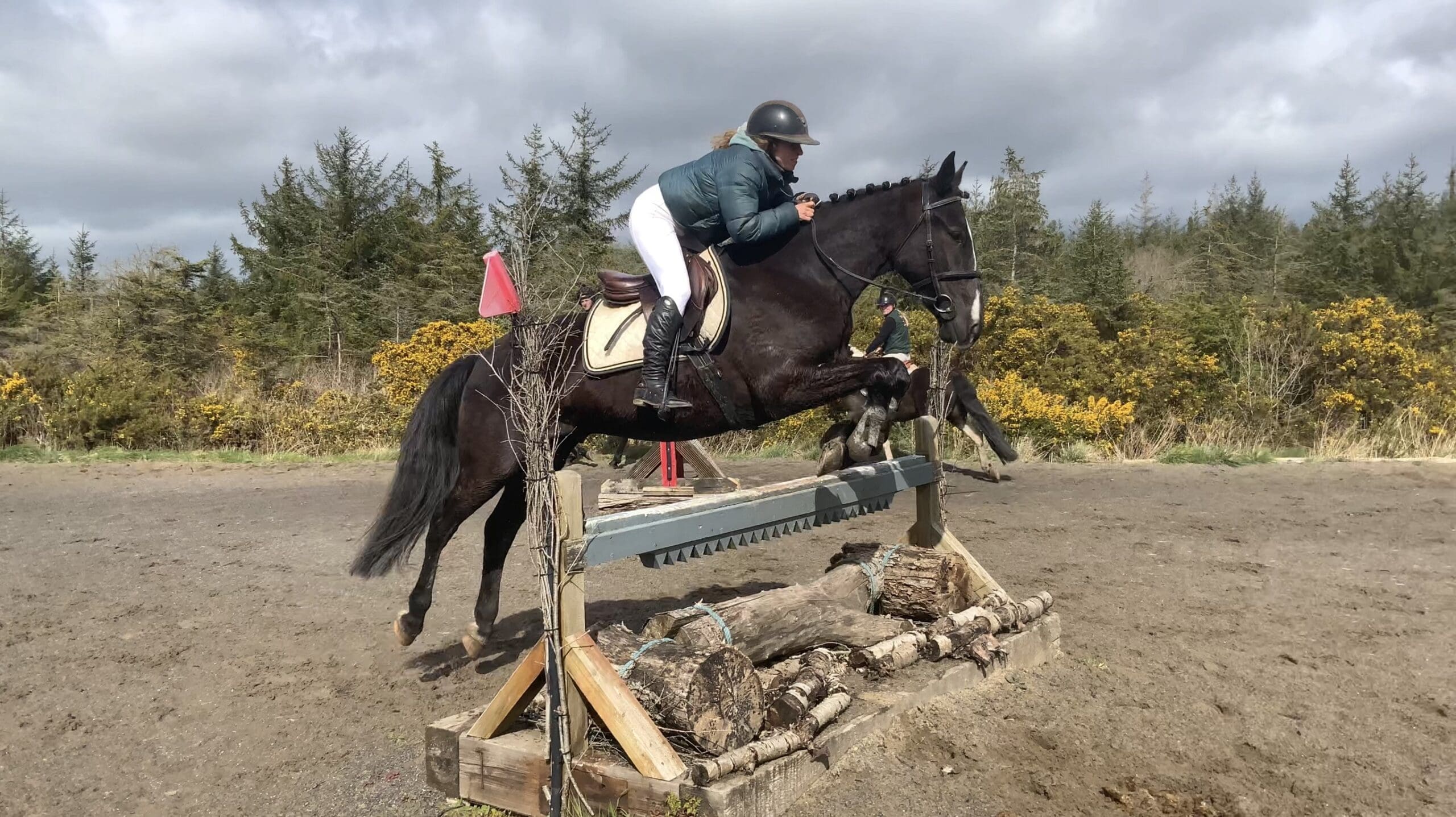 Cosmo - striking and steady allrounder, safe for anyone