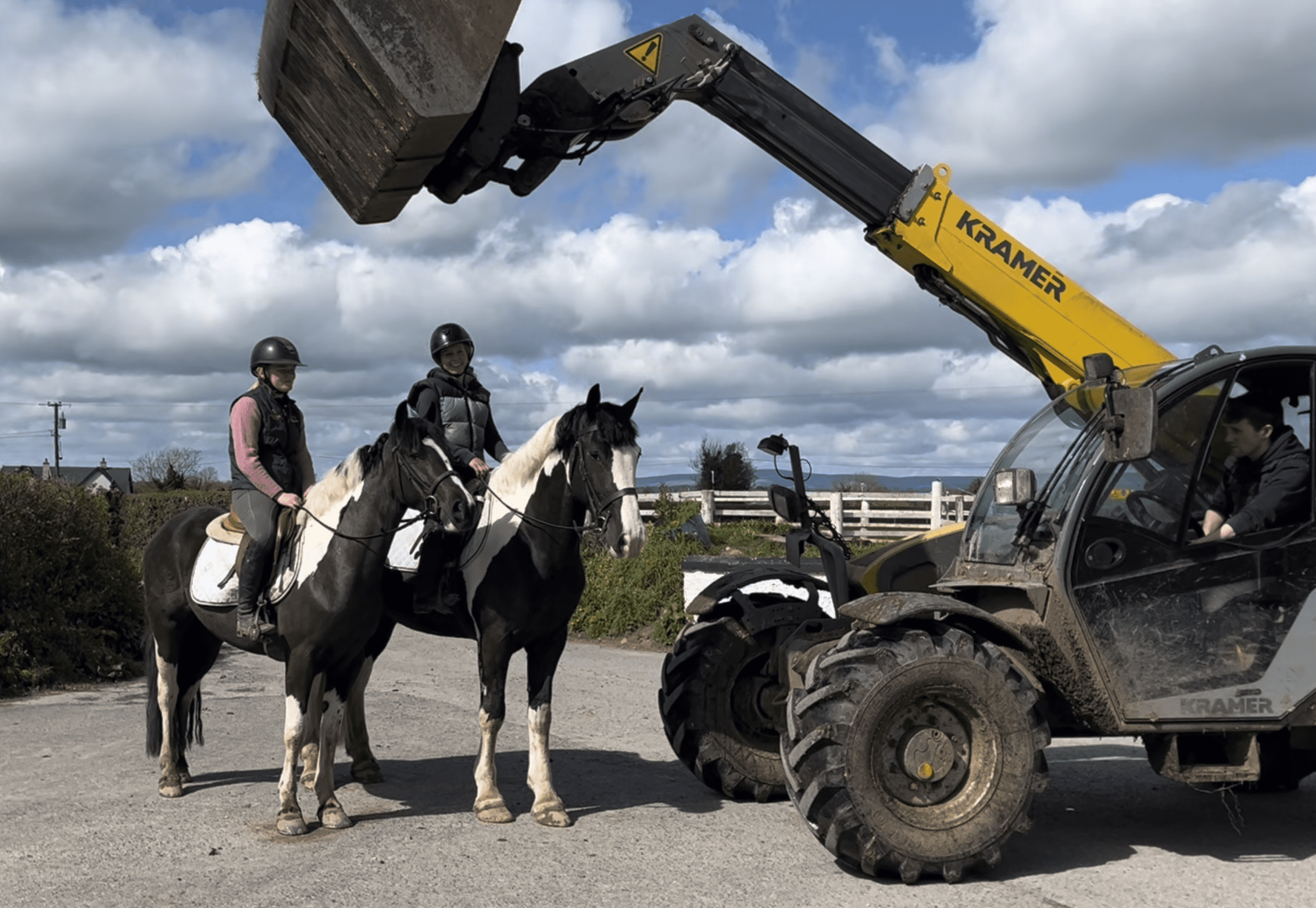 Puzzle - ideal family horse, talented allrounder