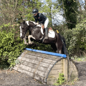 Jimmy - fun-loving, sport pony for a child to learn on