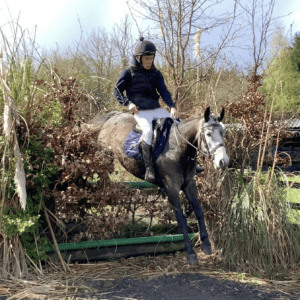 Patch - unique and athletic eventing or hunting partner