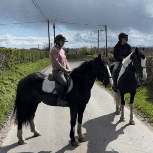 Pat - dependable, easygoing, traditional Irish cob