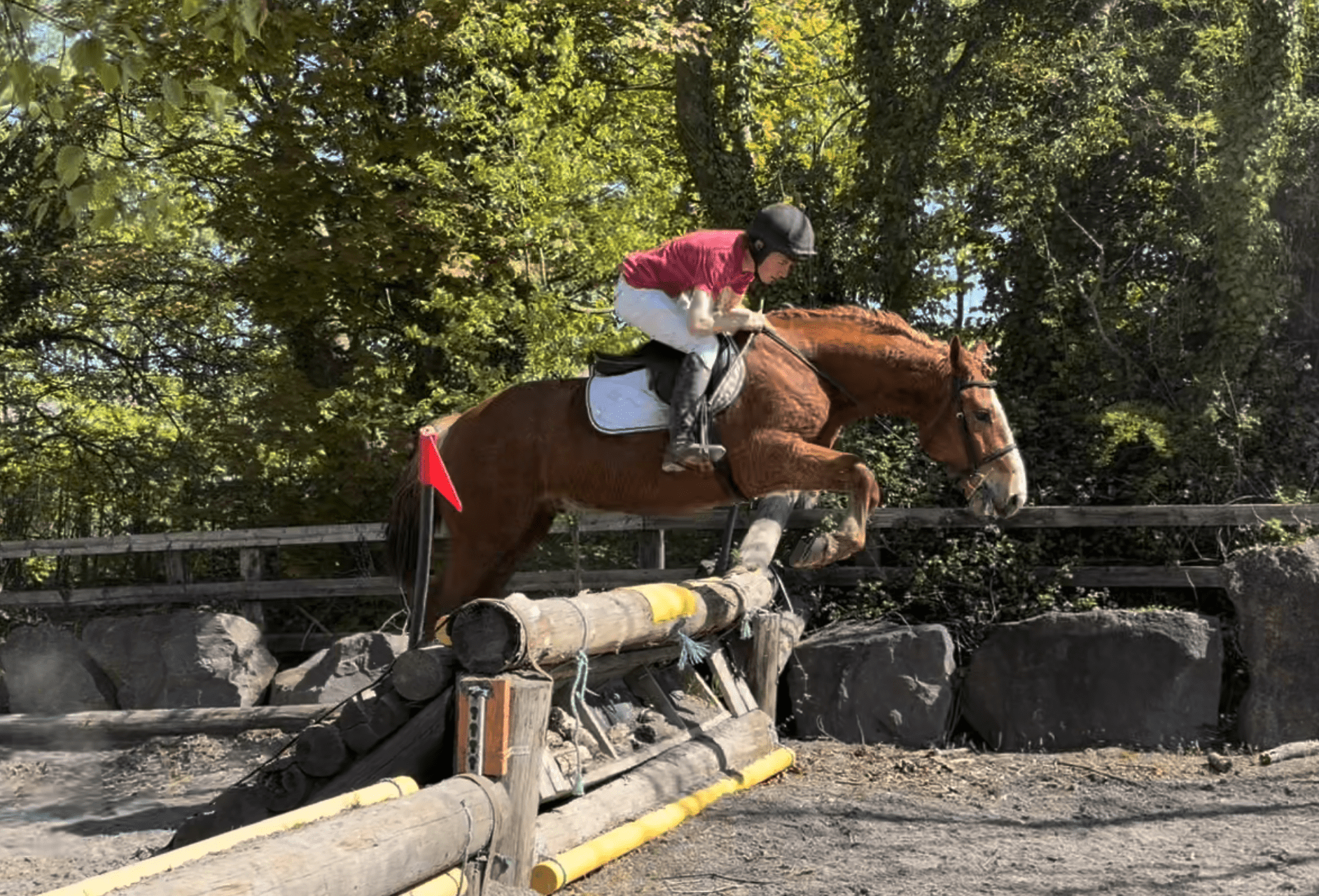 Mac – trail master, confidence builder