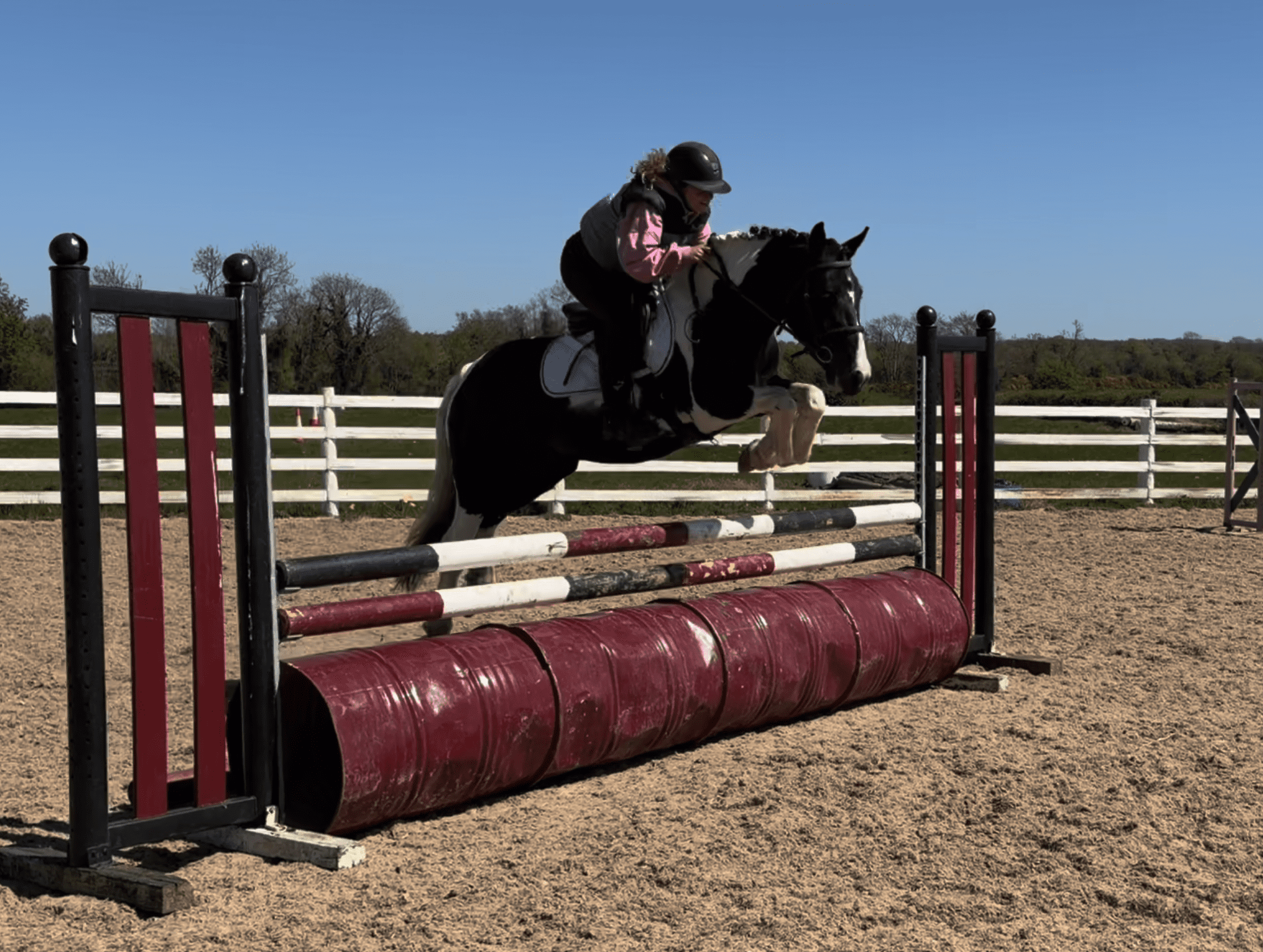 Diamond - proven legendary kid’s pony, versatile and safe for all ages