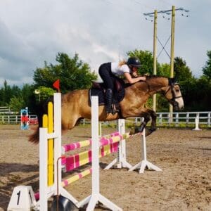 Shadow - rare combo of talented scope & quiet ride, amateur dream horse
