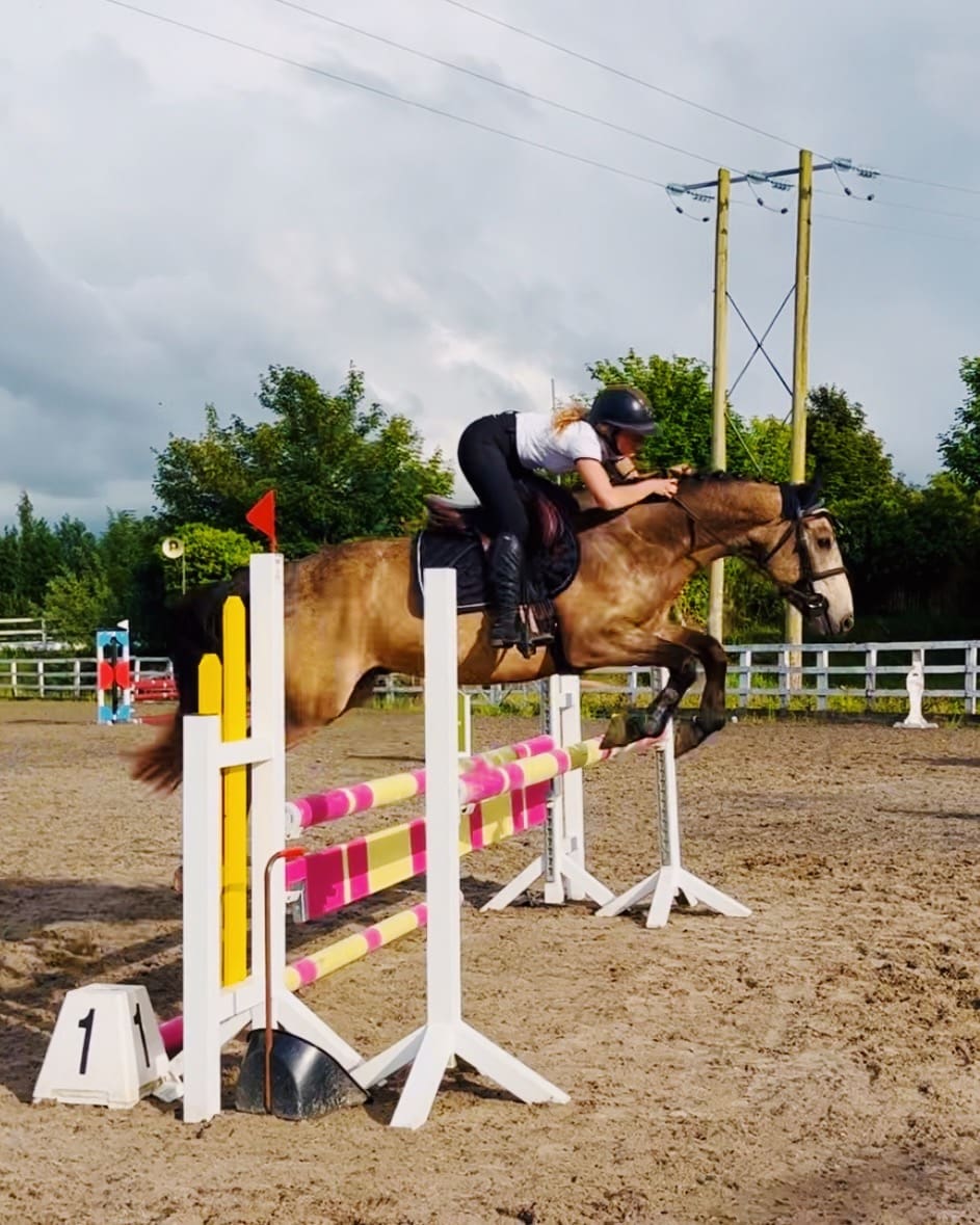Shadow – rare combo of talented scope & quiet ride, amateur dream horse