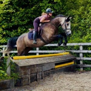 Harry - stunning, mellow, friendly and forgiving allrounder