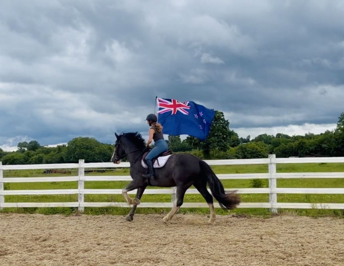 A one in a million ride; gentle, quiet, easy allrounder