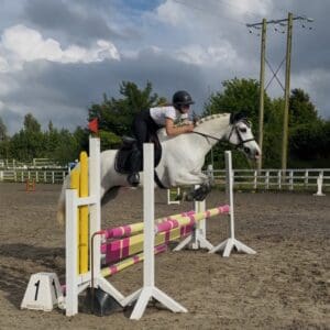 Destiny - mellow, forgiving, experienced allrounder
