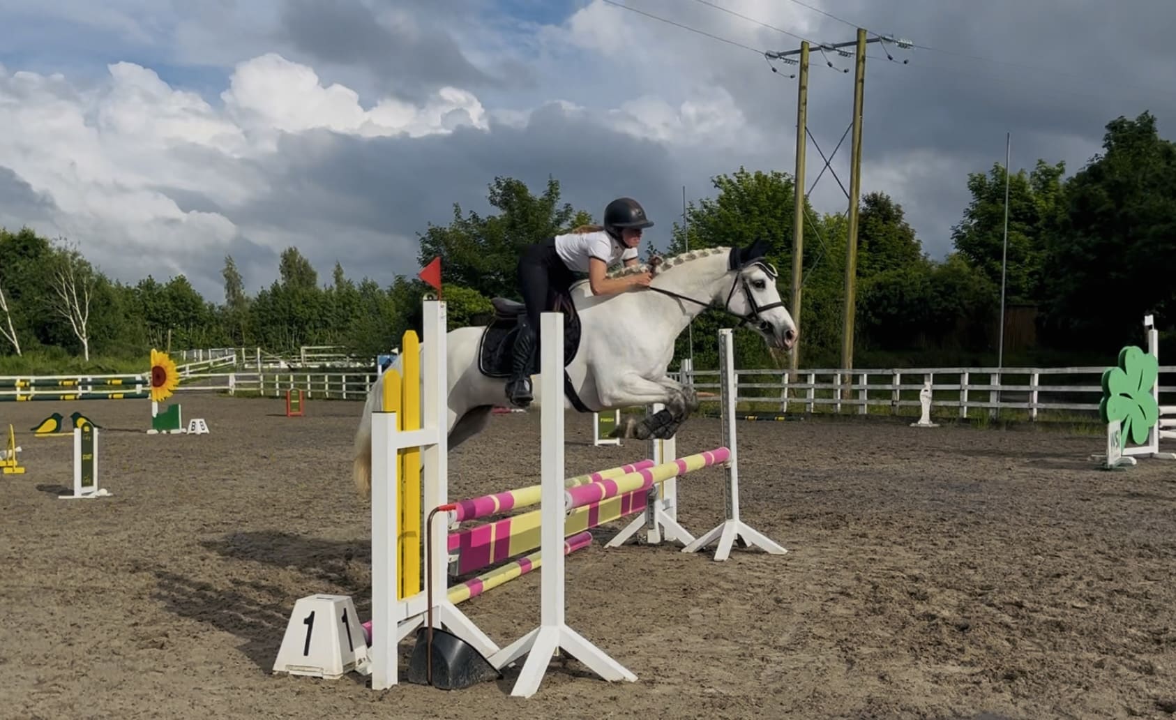 Destiny – mellow, forgiving, experienced allrounder