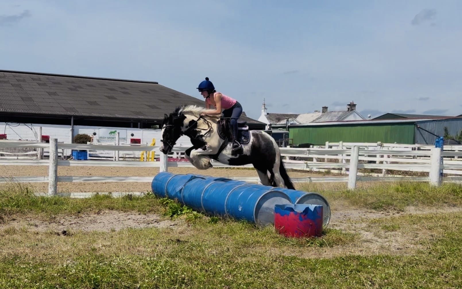 Ranger – ideal western & english allrounder pony