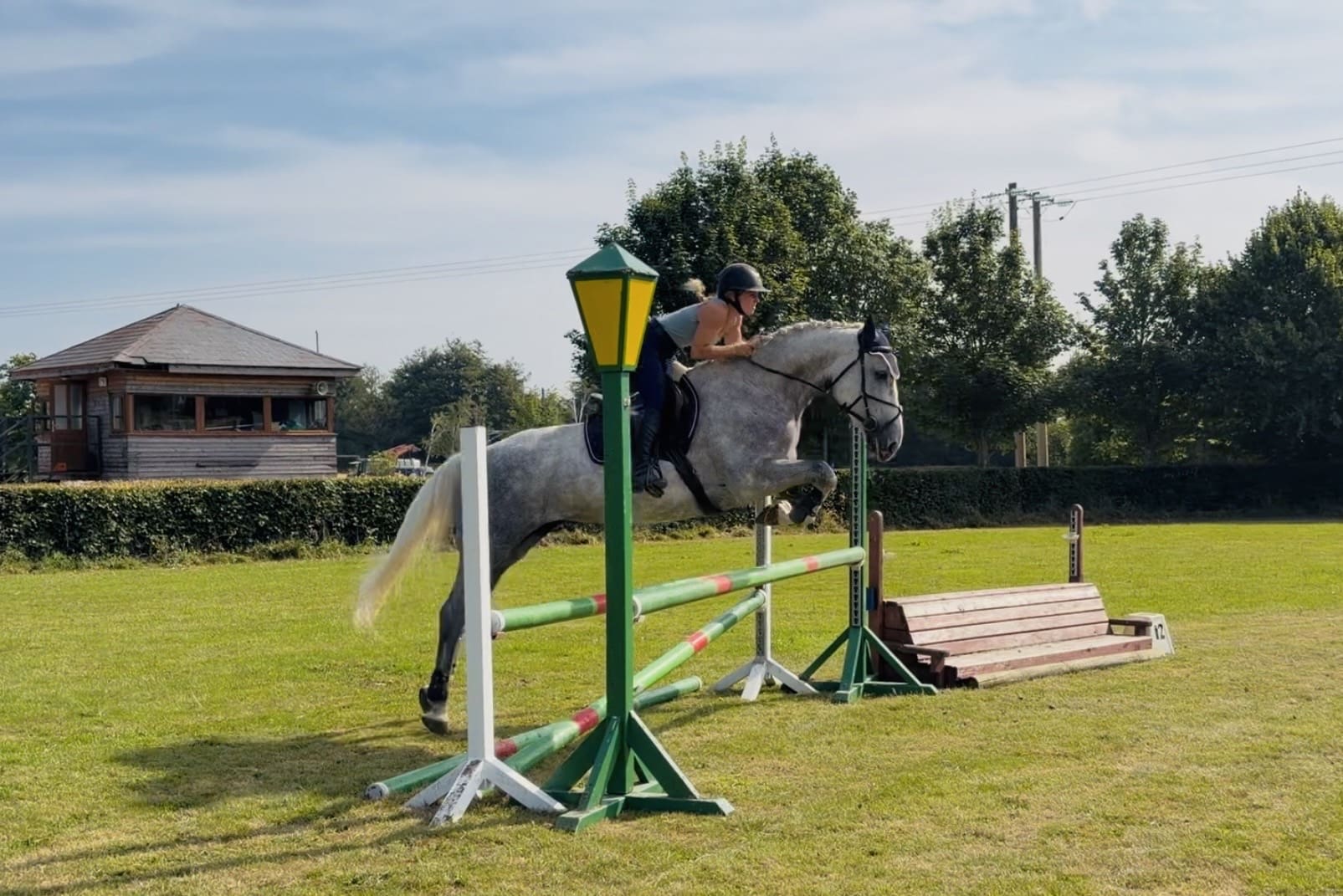 Sunny – gorgeous, gentle, scopey working hunter ISH