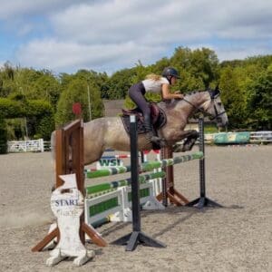 Misty - rare find! ponyclub dream, easy, calm & scopey