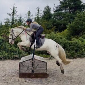 Sweetie: perfect riding school pony, ideal xc and hacking partner