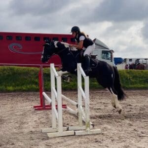 Jimmie - mellow mother/daughter share, kid’s allrounder pony
