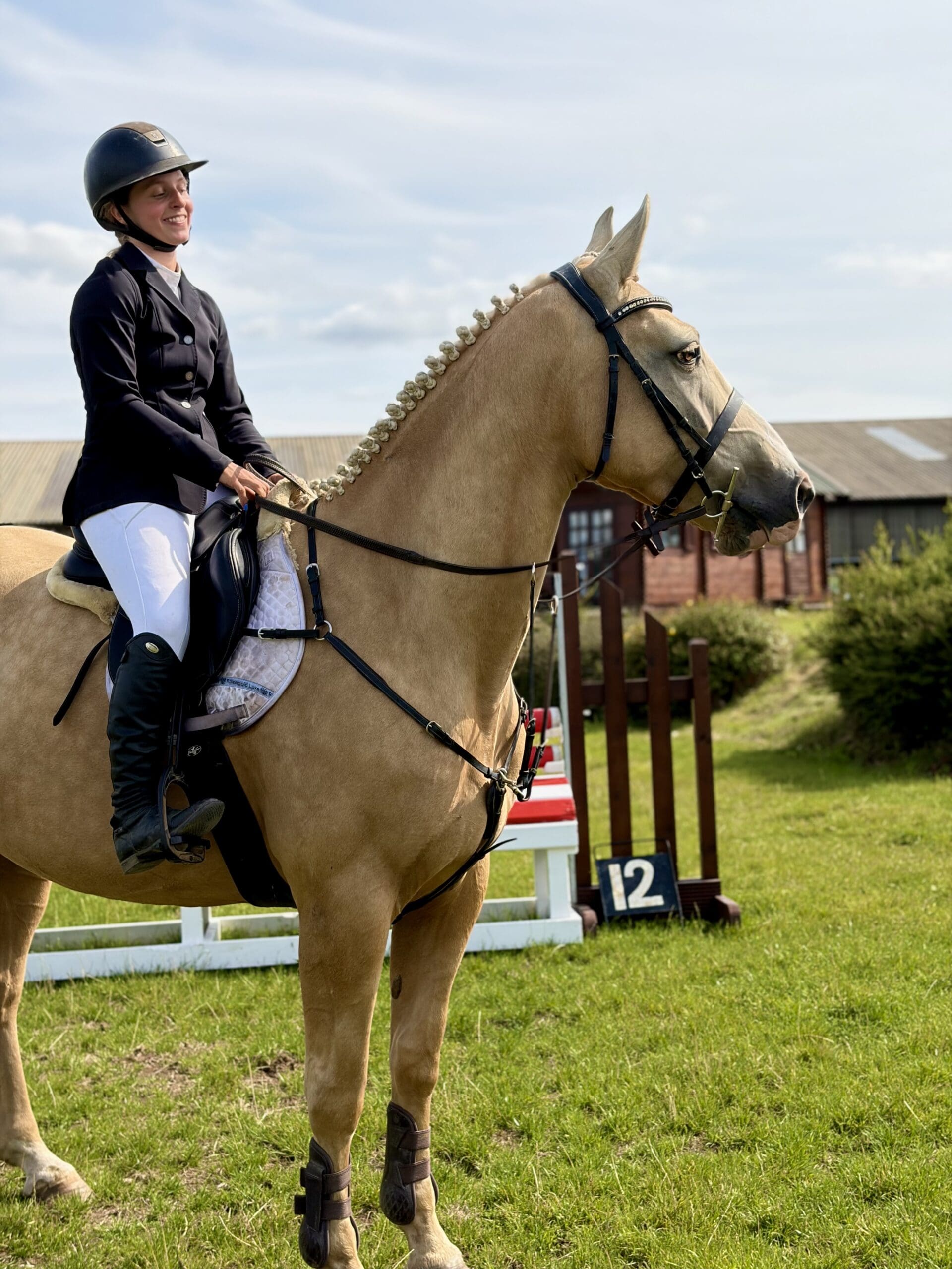 Belle – stunning & sweet, the ultimate amateur’s dream horse