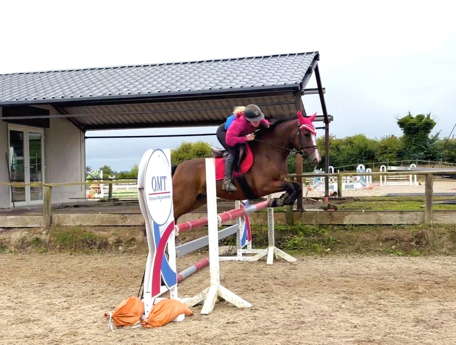 Gwen – competitive, scopey showjumping pony with top breeding