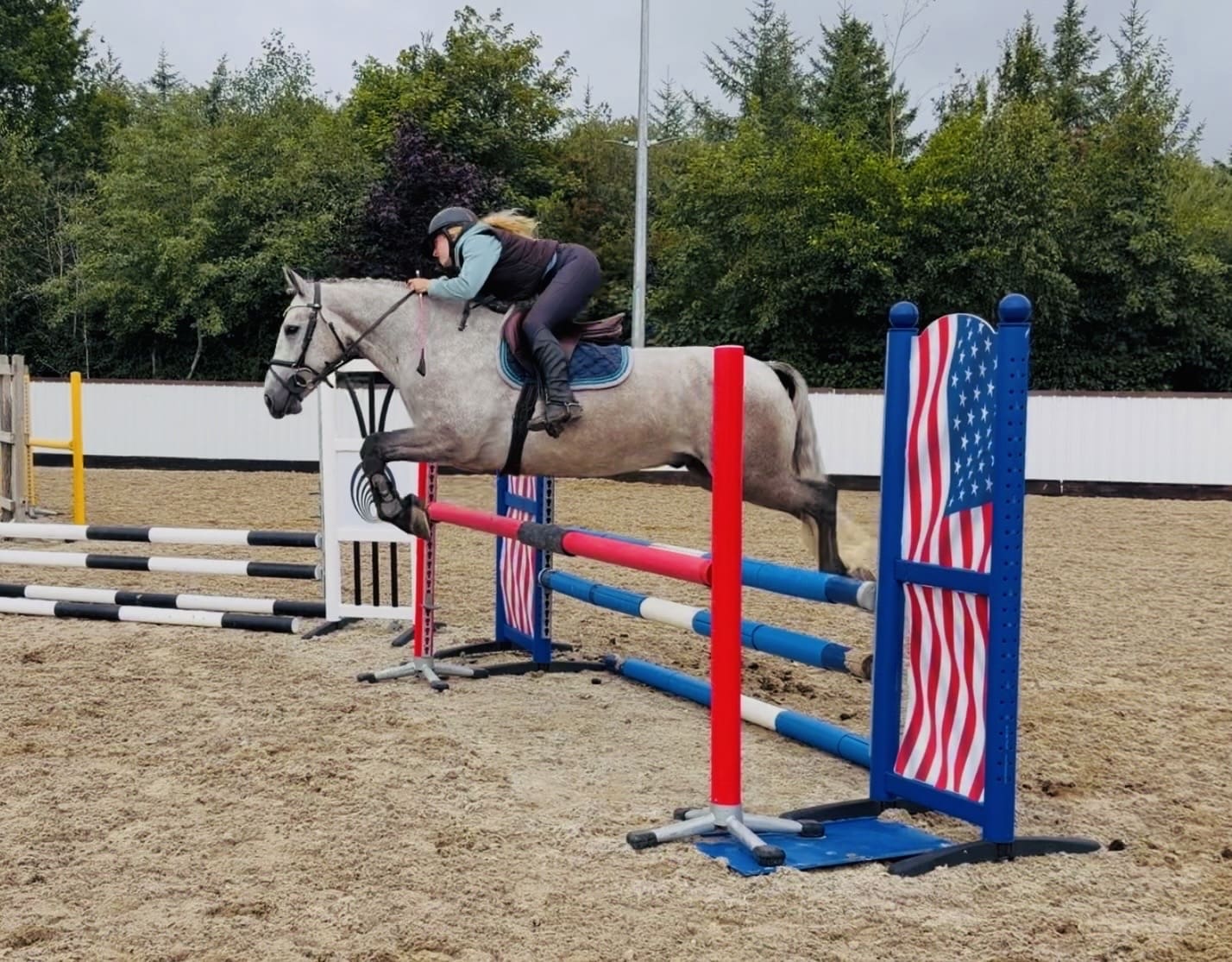 Moonlight – smashing, scopey, show-quality allrounder, an amateur’s dream
