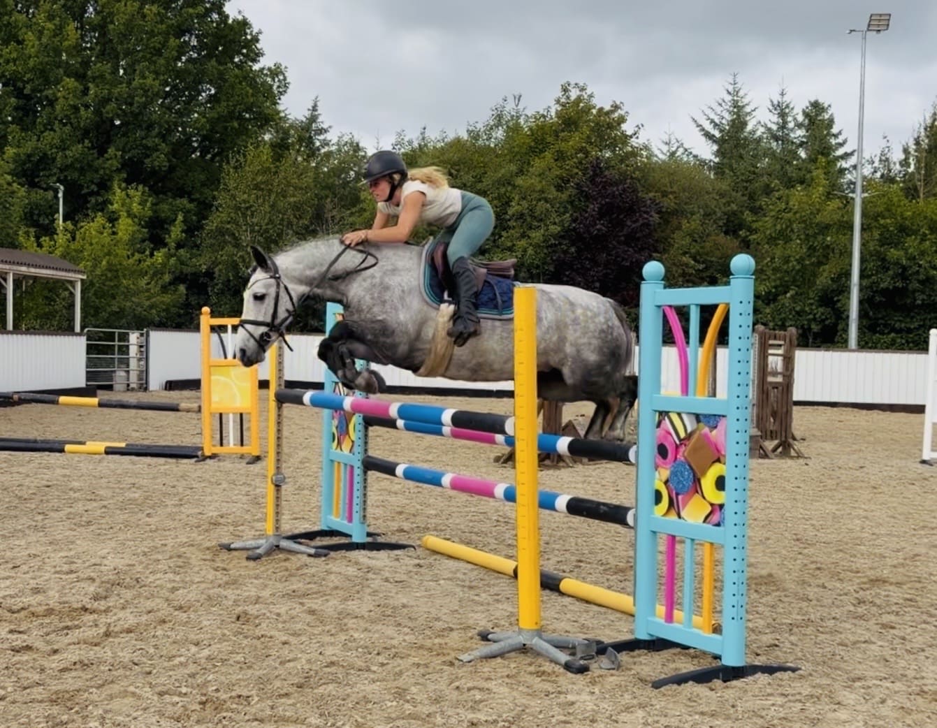 Cleo – athletic, brave, honest, uncomplicated showjumping pony